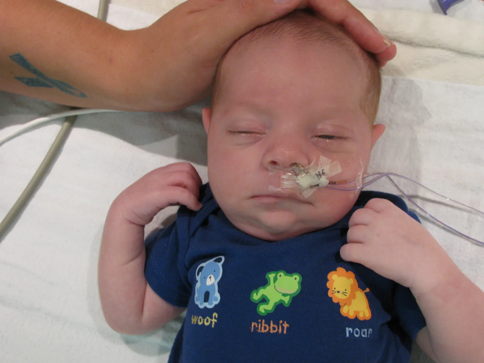 Read more about the article NICU Days 23 and 24